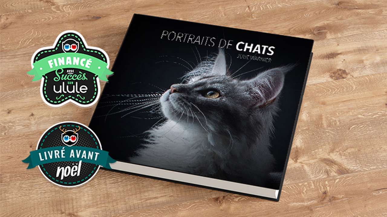 Portraits de chats - Ulule