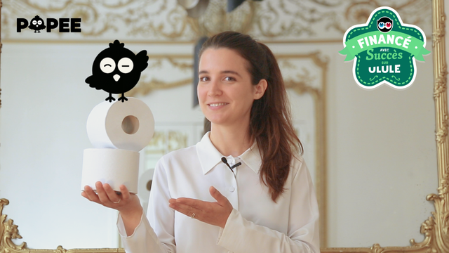Video presentation of the project