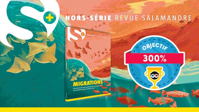 Vidéo de présentation de la collecte