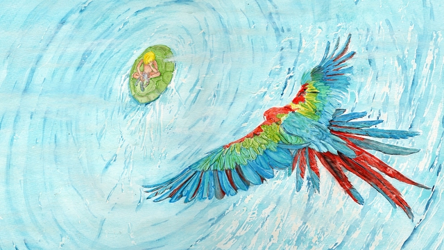 Cover image of the project Tombé du ciel !