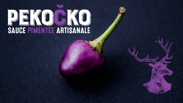 Cover image of the project Sauces Pimentées Artisanales