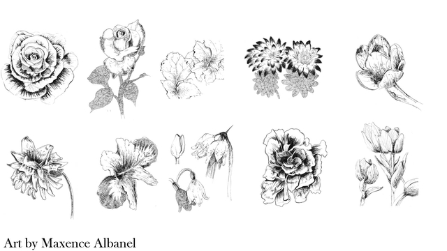 Imagen de portada del proyecto Cartes postales florales