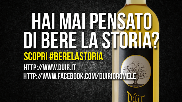 Imagen de portada del proyecto Idromele duir