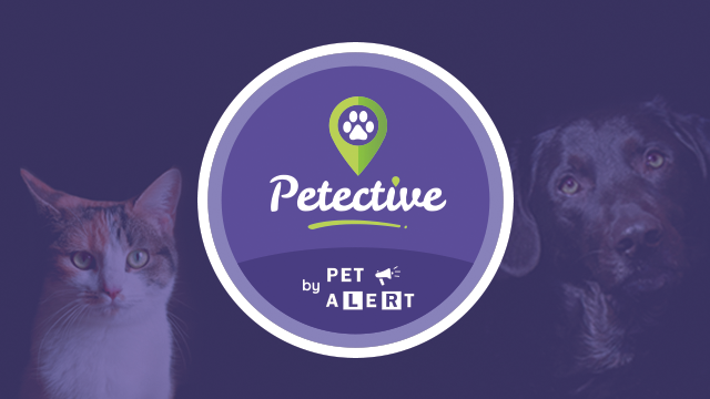 Image de couverture de la collecte Petective by Pet Alert
