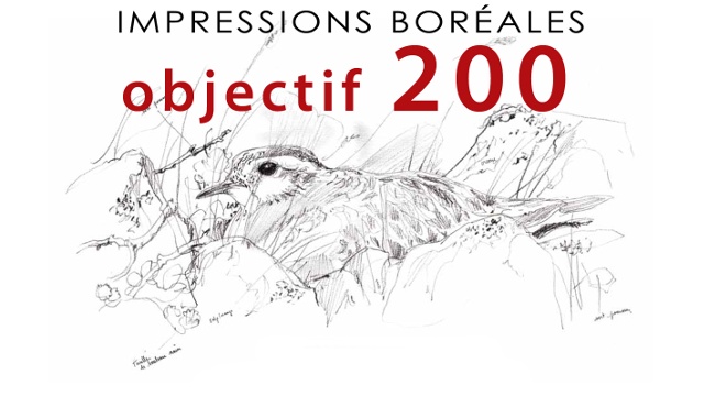 Cover image of the project Impressions boréales