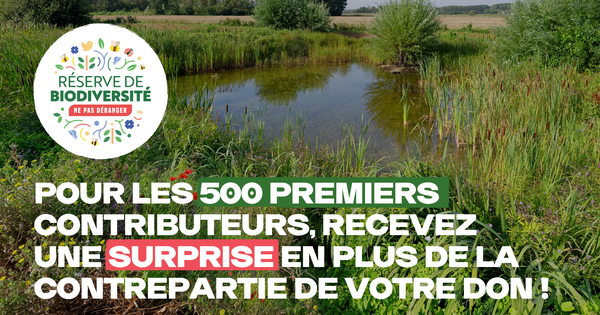 Préservons à nouveau 1 million de m² de nature pour 99 ans