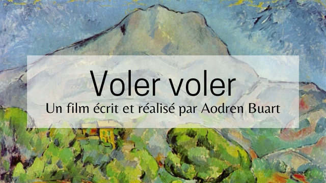 Image de couverture de la collecte Voler voler - un film pour l'été