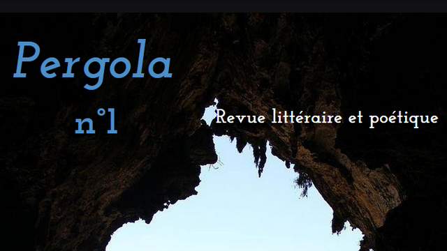 Image de couverture de la collecte Revue poétique Pergola