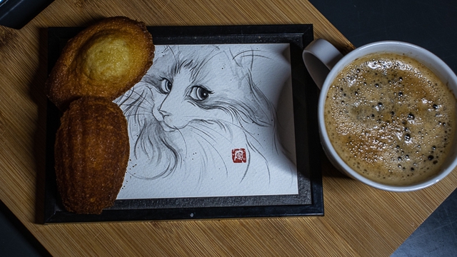 Image de couverture de la collecte Nekohi : un nouveau bar à chats à Limoges