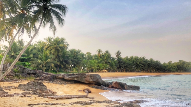 Cover image of the project Ecoho Lodge Grand Béréby, Côte d'Ivoire
