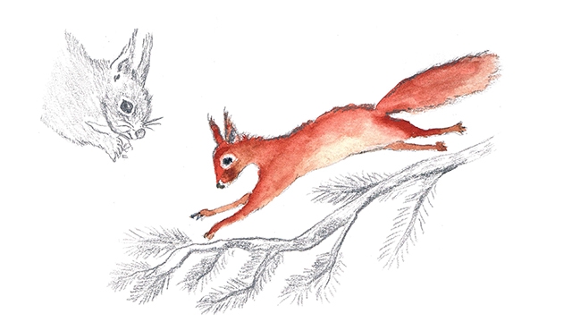 Cover image of the project Bestiaire enluminé