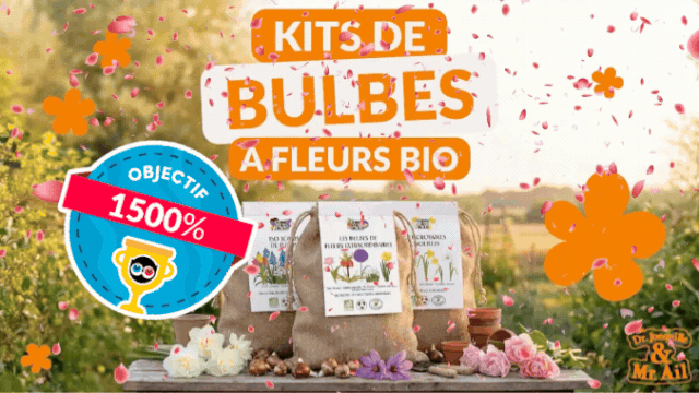Kits thématiques de bulbes à fleurs BIO Ulule — free download