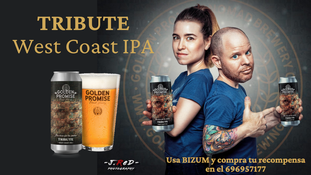 Cover image of the project Golden Promise Brewing