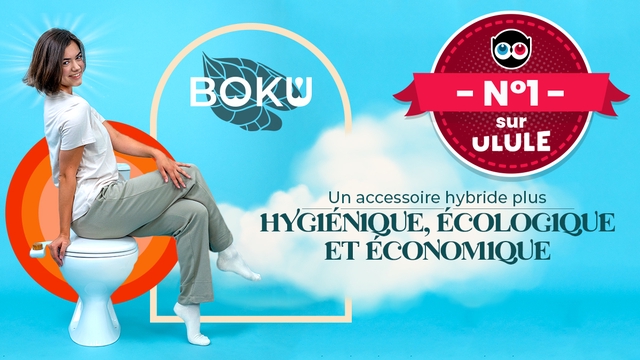 Video presentation of the project