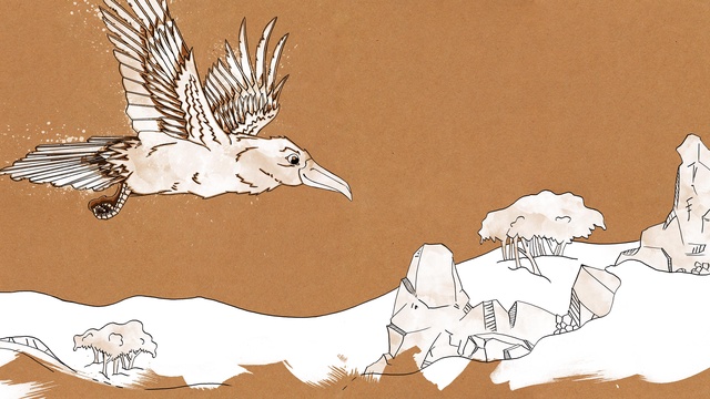 Cover image of the project Le grand oiseau blanc, livre jeunesse