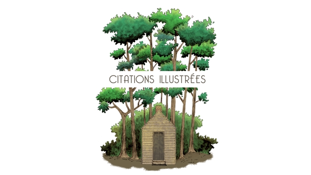 Cover image of the project Citations illustrées