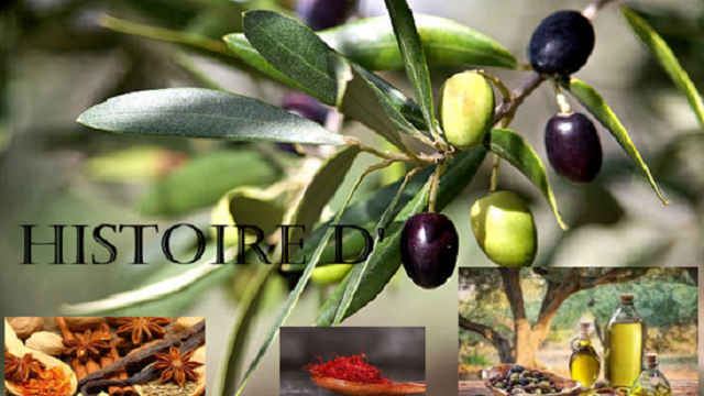 Cover image of the project Histoire d'Olive