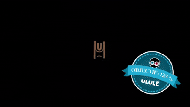 Video presentation of the project