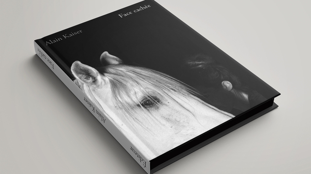 Cover image of the project Face Cachée