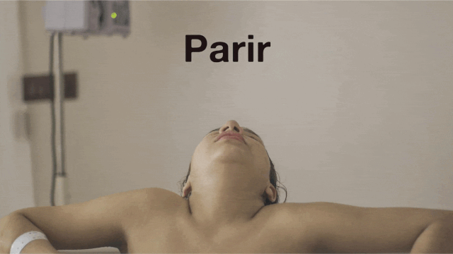 Video presentation of the project