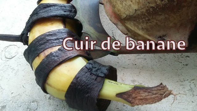 Vidéo de présentation de la collecte