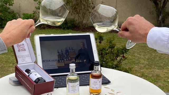 Video presentation of the project