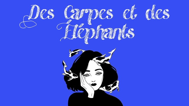 Image de couverture de la collecte Court métrage "Des Carpes et des Éléphants" -In Medias Res-