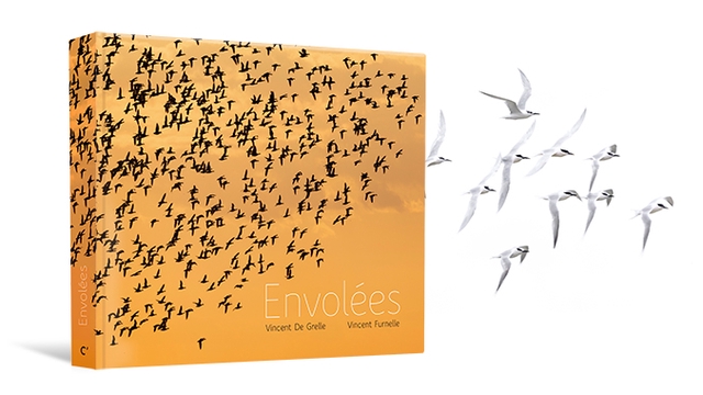 Cover image of the project Envolées