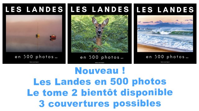 Vidéo de présentation de la collecte