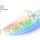 Prolongations 🤩 Kits thématiques de bulbes à fleurs BIO Ulule — free download