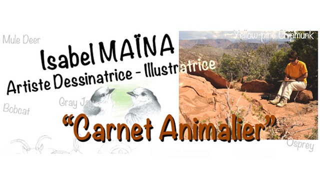 Imagen de portada del proyecto "Carnet Animalier"