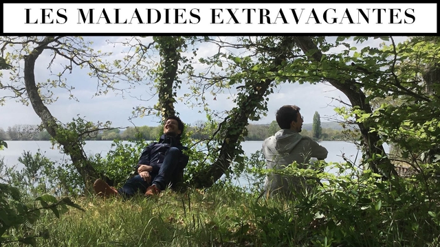 Cover image of the project Les Maladies Extravagantes