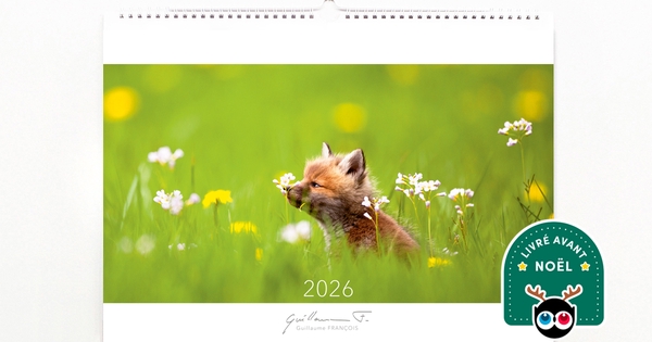 Calendrier Mural 2026 Nature - 30x60 Cm, Papier 140 G - Multilingue (fr, En, Es, It, De, Pt) - Janvier à Décembre