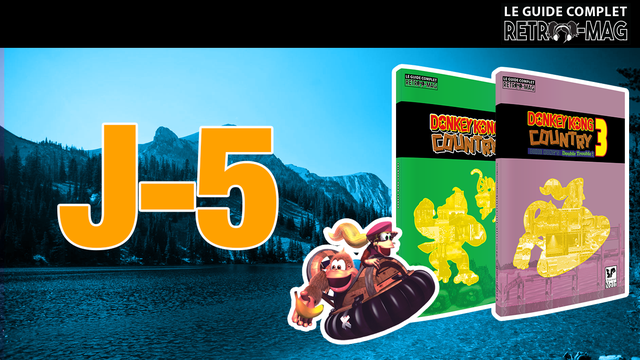 Donkey Kong Country 3 : le Guide Complet