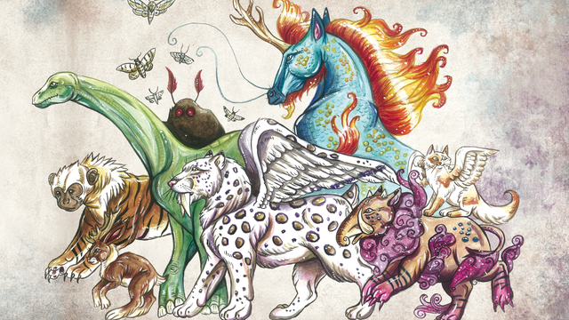 Image de couverture de la collecte livre "le grimoire des étranges créatures"