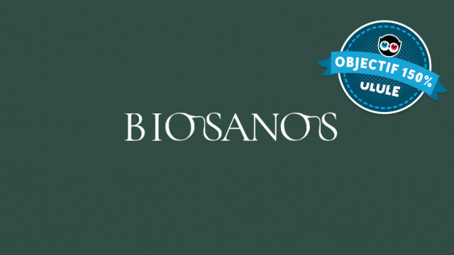 Video presentation of the project