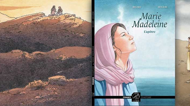 Cover image of the project Une nouvelle collection de BDs Historiques