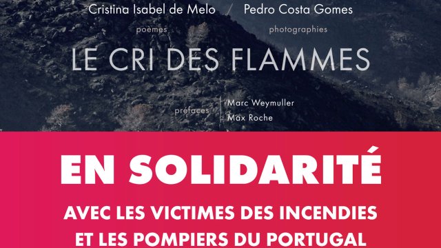Cover image of the project LE CRI DES FLAMMES