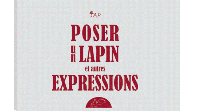 Cover image of the project POSER UN LAPIN et autres expressions, de JAP