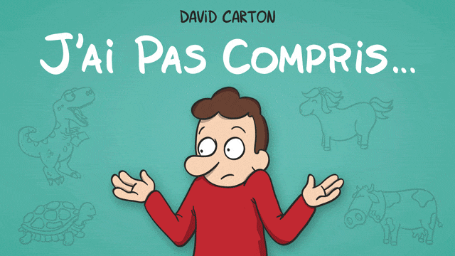 Imagen de portada del proyecto J'ai pas compris
