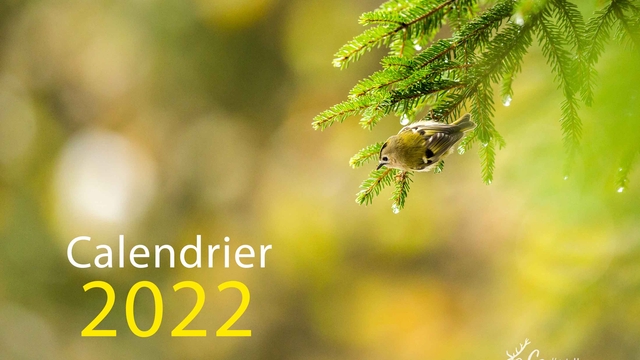Cover image of the project CALENDRIER 2022
