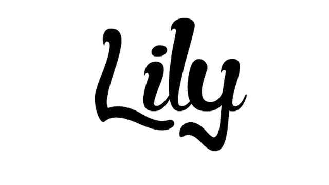 Cover image of the project Lily