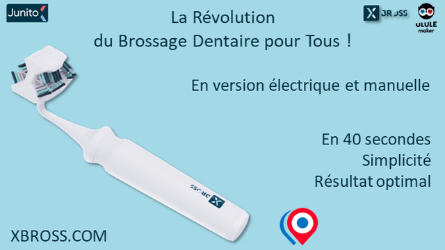 Video presentation of the project