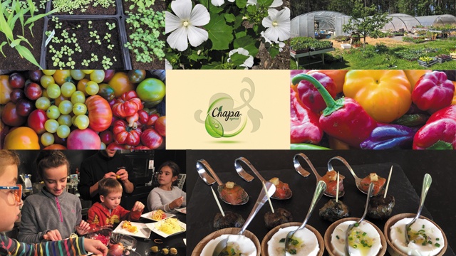 Cover image of the project De la graine à l'assiette