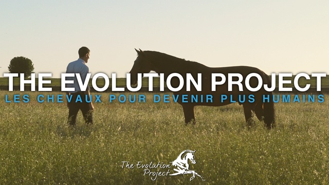 Video presentation of the project
