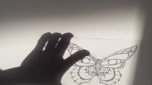 Cover image of the project Effetto farfalla