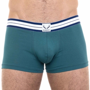 Boxer vert océan