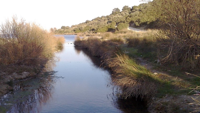 Image de couverture de la collecte Save the Erasinos River