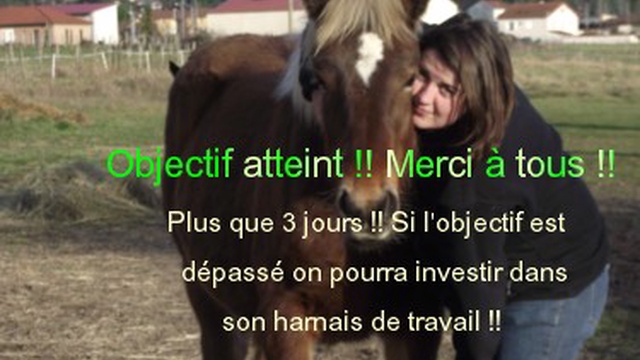 Image de couverture de la collecte Maraîchage Bio en traction animale