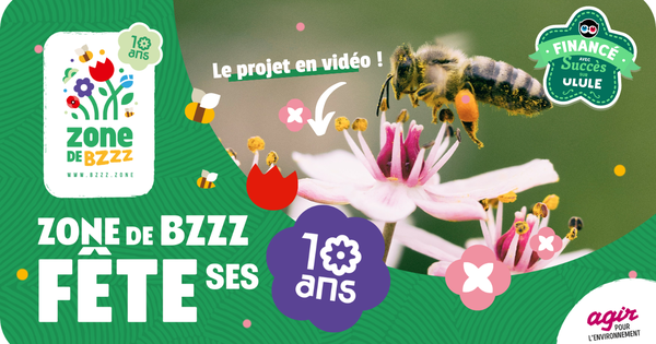 Zone de Bzzz fête ses 10 ans !